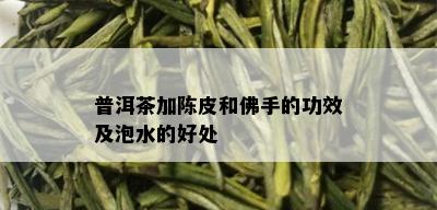 佛手普洱茶的全面功效、作用与正确食用方法解析