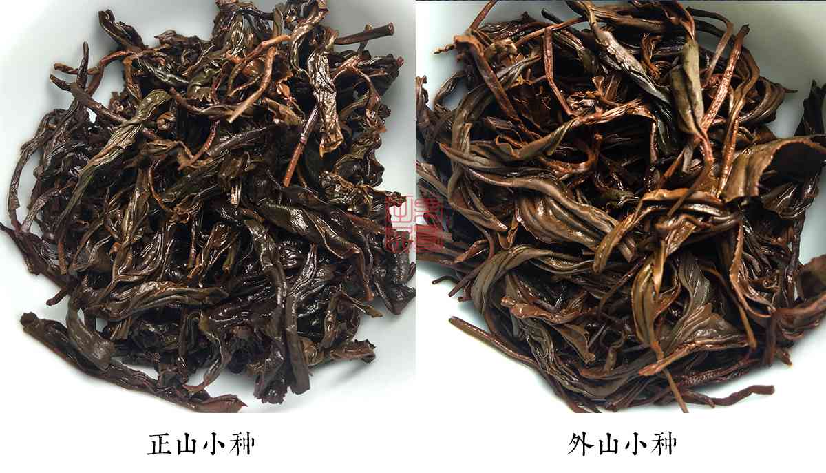 普洱茶茶青等级分类与叶底特征解析：一篇全面指南助您挑选优质茶叶