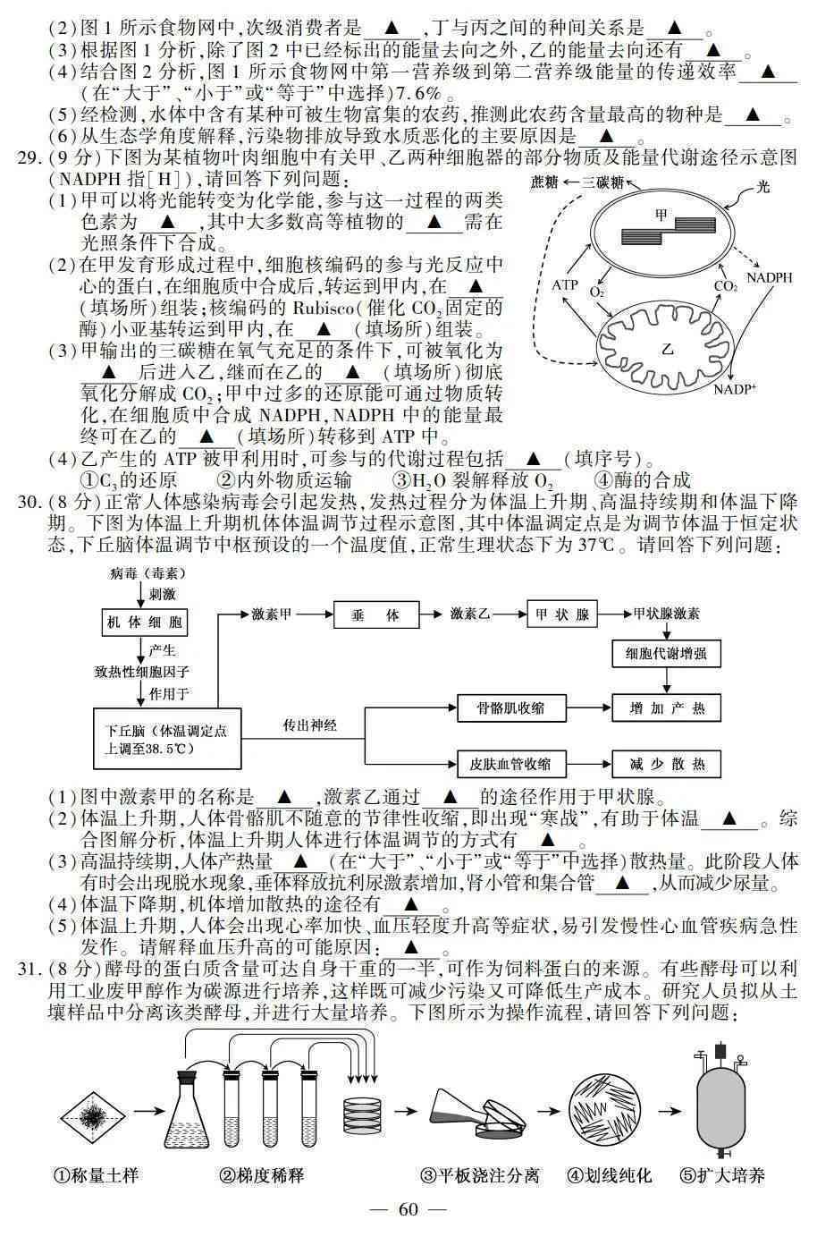 和田玉的机理结构详解：从物理到化学，全面解析