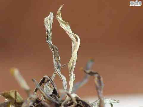 鹿角茶色：普洱茶中的自然魅力