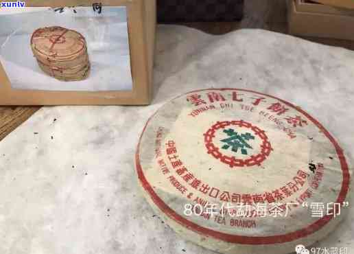 普洱茶雪印90年代：价格、品质、收藏与投资的全面解析