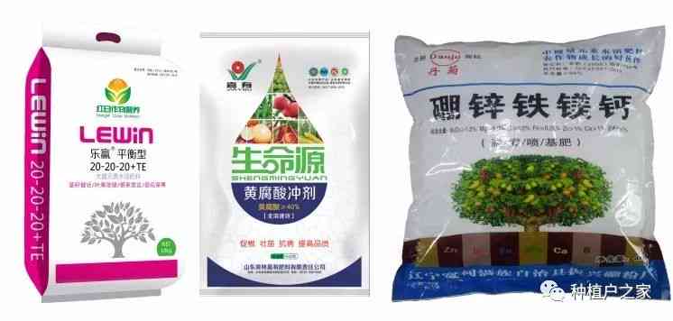 红春种植技术：高效肥料运用与病虫害防治策略