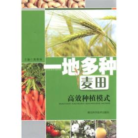 红春种植技术：高效肥料运用与病虫害防治策略