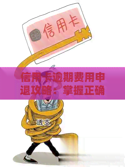 信用卡逾期费退还给别人的正确方式