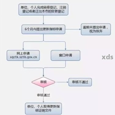 逾期申报所需材料及大厅申报流程：全面解答用户疑问