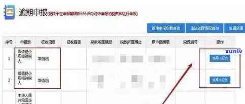 逾期申报需要什么资料：全流程指南与所需文件