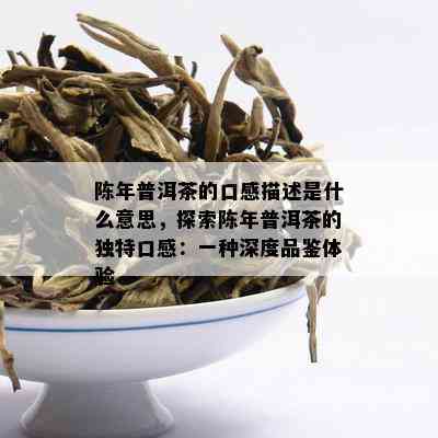 6年陈普洱茶：口感鉴，好喝的秘密揭秘