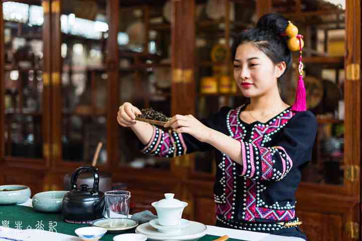 勐腊普洱茶：云南名茶，古树茶，茶叶收藏，茶艺表演，品鉴大赛