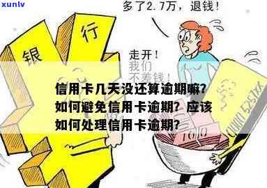 当信用卡逾期时，如何采取措解决问题并避免进一步的信用损失？