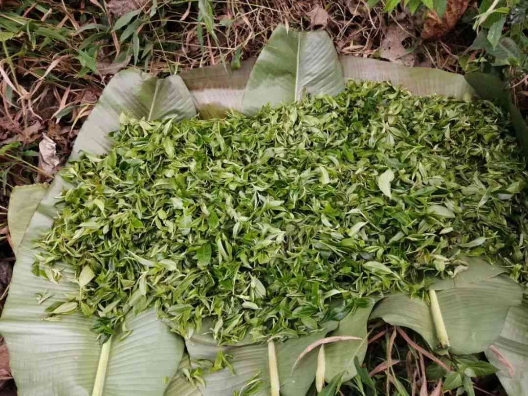 普洱茶喝到最后好甜怎么办