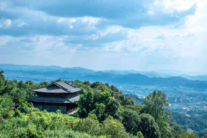 探索明珠普洱茶：从产地到品质，全面了解这种独特茶叶的魅力与价值