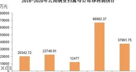 普洱茶茶企销售额过亿的公司排名及年营收：普洱茶厂的行业领导力分析