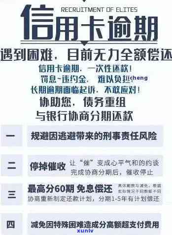 当信用卡逾期被停账，如何解决账单未更新的问题？