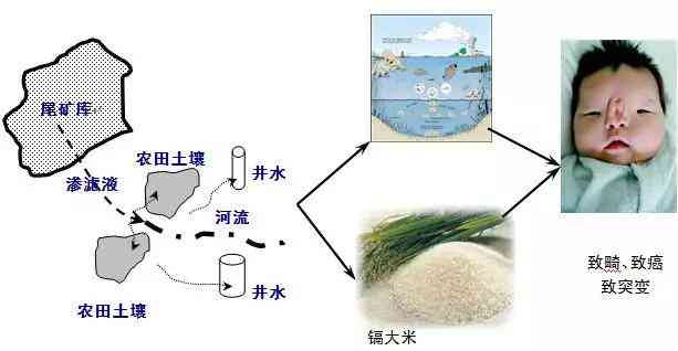 高种水的危害：原因、影响与解决方案