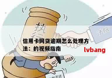 网贷逾期后怎么还的进去钱：自救方法与处理步骤