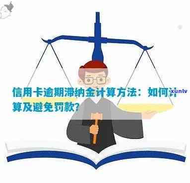 信用卡滞纳金与违约金：全面解析、计算方法以及如何避免逾期产生的额外费用