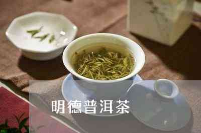 明德普洱茶