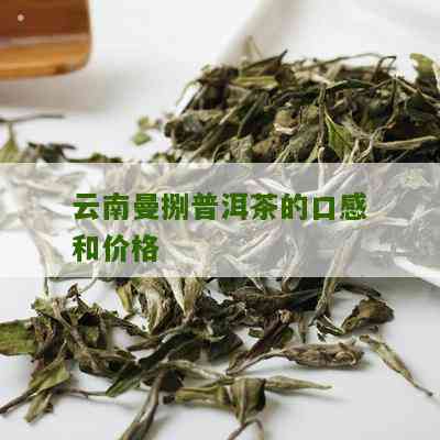 曼滚普洱茶的价格、口感以及云南曼捌普洱茶的信息。