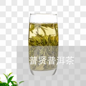 善普普洱茶