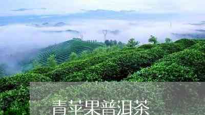 西双版纳普洱茶生态文化产业园：探索茶叶产业、文化与生态的完美融合