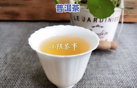 乌龙茶红茶绿茶普洱茶分别介绍一下，区别与功效详解