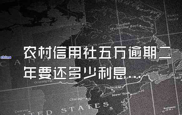 信用社五万块钱贷款逾期一年要还多少钱