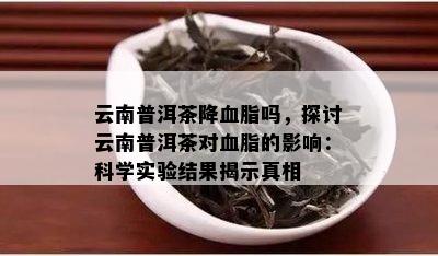 探究熟普洱茶对血脂的影响：一项深入研究