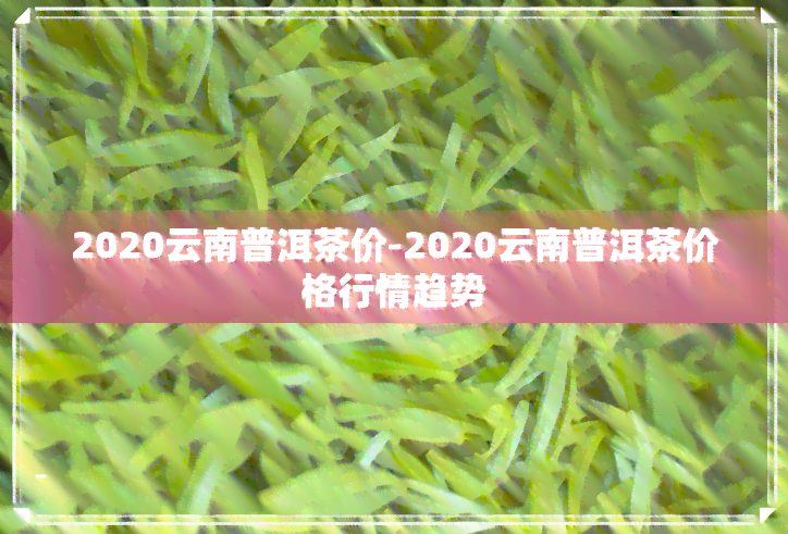 云南普洱茶生茶2020年最新价格及优质货源采购指南