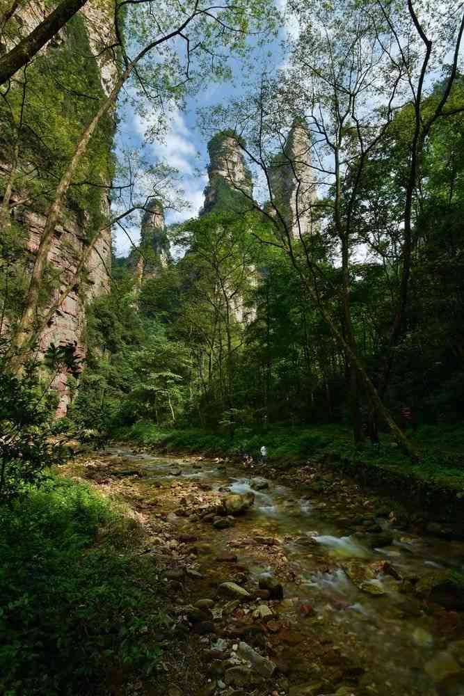 张家界翡翠：一种难以忽视的自然奇迹与旅游体验探讨