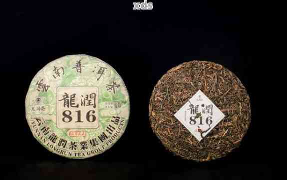 龙育普洱茶：品质越，品鉴体验如何？