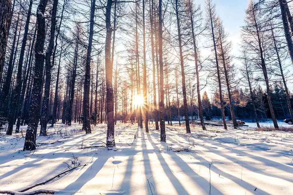 四季宜人的翠玉宝石：冬暖夏凉的神奇魅力