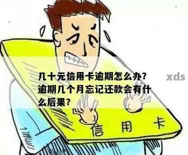 几十块钱信用卡逾期的处理方法及影响解读