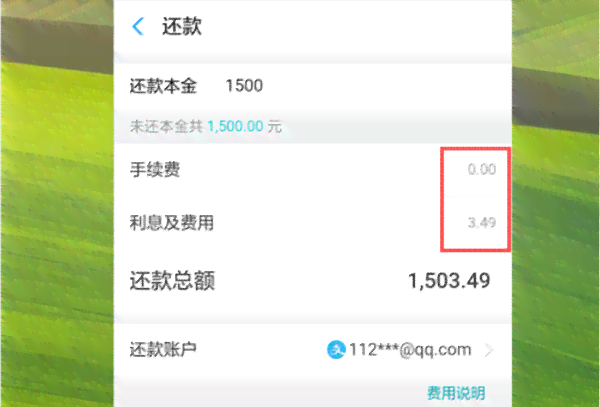 网商贷期还款12个月是分期还款吗