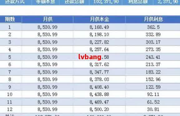 大额还款多少算大额：利息、金额、额度及划算性详解