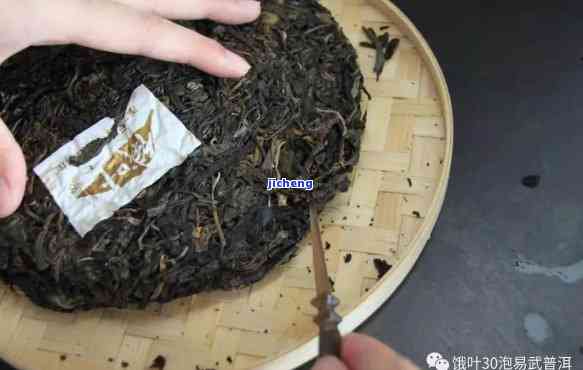 坡脚普洱茶全面解析：品质、产地、冲泡方法等一应俱全，让您轻松挑选与品鉴