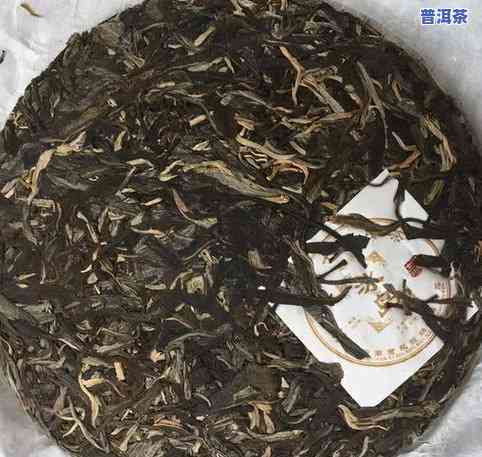 江城普洱茶属哪个茶区：探讨其特点与管理