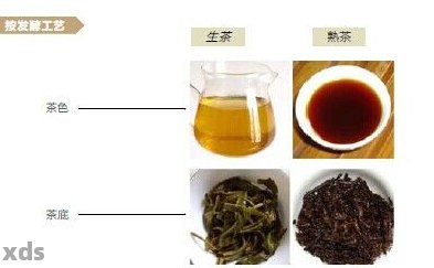 紫珍普洱茶：品种特点、品饮方法、购买指南及健益处全面解析