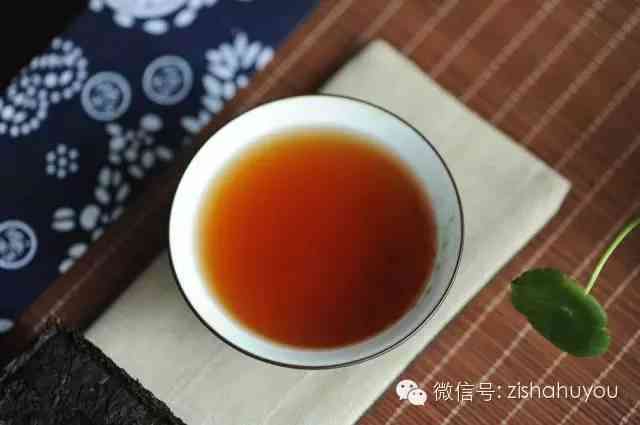 沁意普洱茶