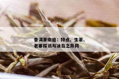 南迫古树普洱茶：冰岛茶的独特魅力与生茶特点