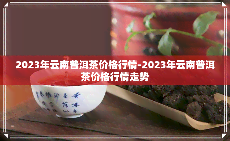 2023年云南普洱茶饼详细价格分析，包括批发和熟茶信息