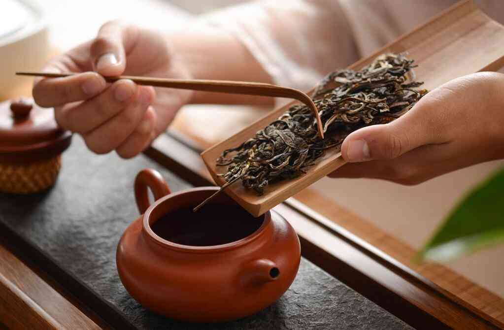 普洱茶冲泡比例：如何找到的茶水比以获得口感和健效益？