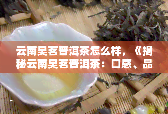 昊茗普洱茶全解析：品质、口感、冲泡方法等一网打尽，解答你的所有疑问