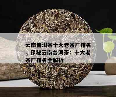 全面解析：普洱茶老排行，为您精选茶叶