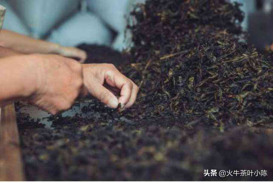 肉是否用于武夷岩茶的制作？了解其在茶叶中的作用和影响