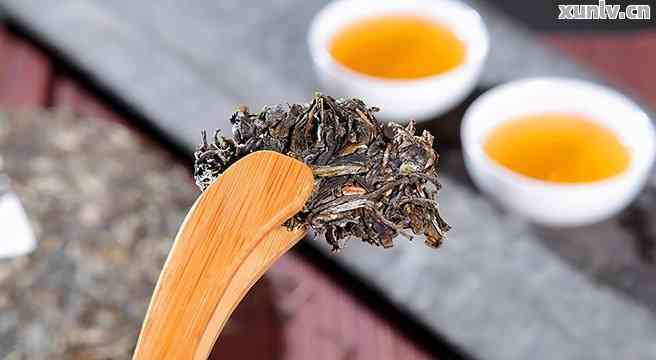 云南南涧普洱茶：源自高山，品味醇厚，一款茶中之王