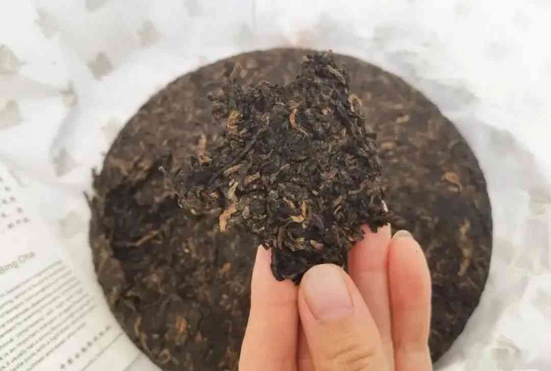 普洱茶abcd堆是什么意思