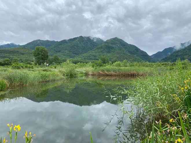 秦岭涝峪河地区的玉石资源探析及其价值评估