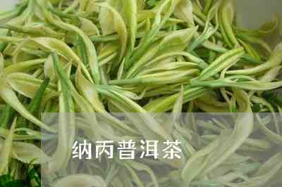 纳新普洱茶价格、纳丙普洱茶及茶叶信息，尽在纳新茶业