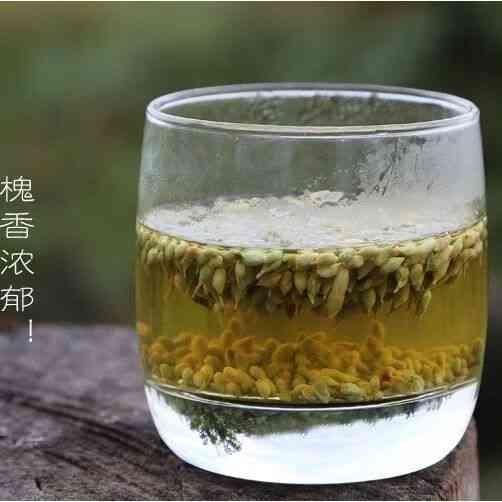 槐米普洱茶