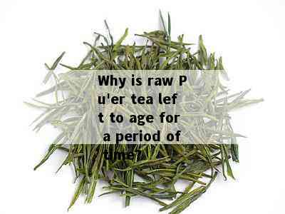 'Are you truly acquainted with Pu'er tea's aged variety?'